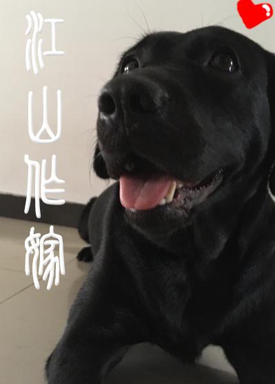 country for marriage