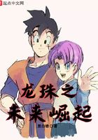 Dragon Ball Future Rise