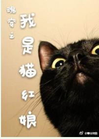 I am a cat matchmaker