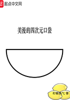 Meiman's four-dimensional pocket