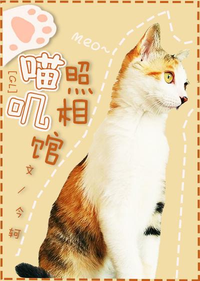 meowji photo studio