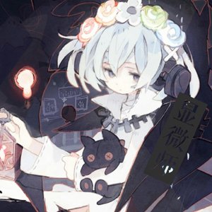 micrographer