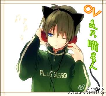 [Net match] CV is a cat