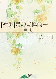 One Hundred Days of Soul Swap