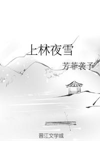 Shanglin Night Snow