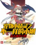 The Different Xiaogang of Pokemon