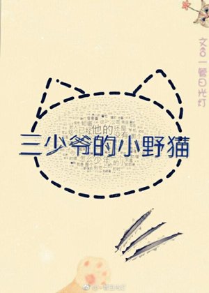The little wild cat of the third young master of ABO